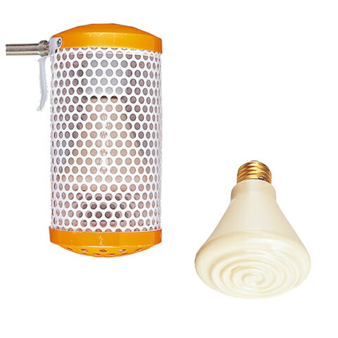 ����ߥå��ҡ�����100W ���С��դ�