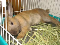 ���ȡ���٥å�B