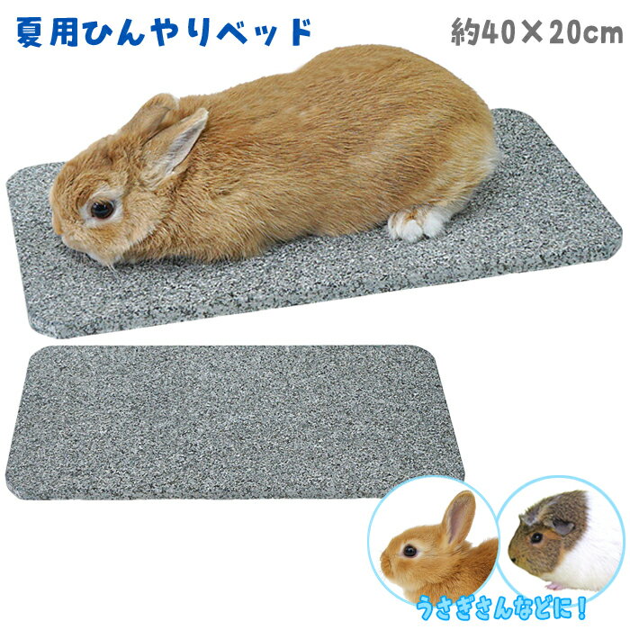 Rakuten - ストーンベッドB