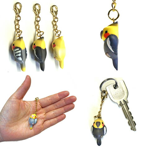 necodon ���㡼�� ������