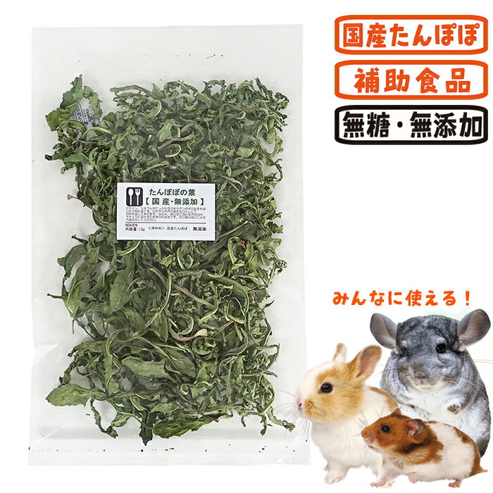 ����ݤݤ��աڹ񻺡�̵ź�á�