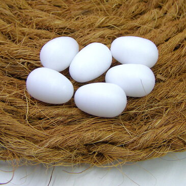 擬卵（ギラン）小鳥用 6個入り/繁殖 産卵 抱卵 偽卵 文鳥 セキセイインコ コバヤシ