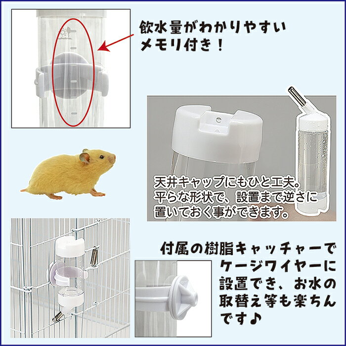 サンプル画像3