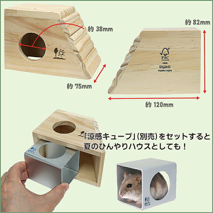 ウッドハウス プチスロープFの紹介画像3
