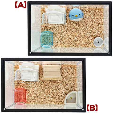 400High����󥬥ꥢ�����6�����åȡڰ��٤Τ���ʸ��2�Ĥޤǡ�