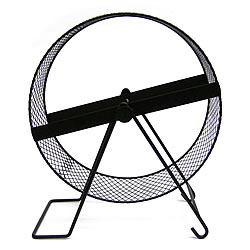 �᥿�륵������ 25