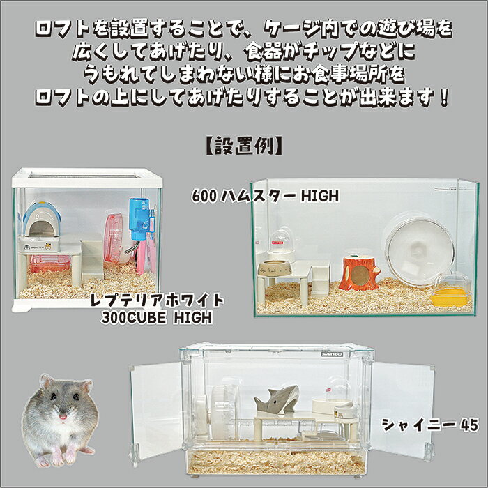 �ϥ���ե�30