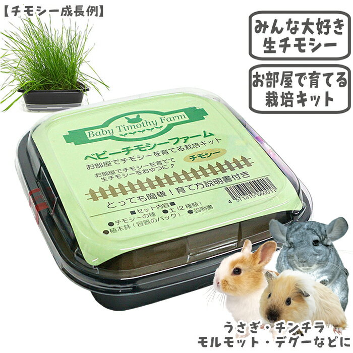 �٥ӡ����⥷���ե�����