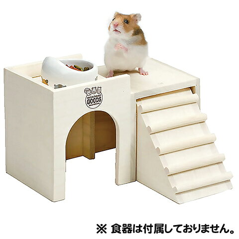 小動物専門店ヘヴンのハムちゃんの2階でごはん＜M＞｜アングル2