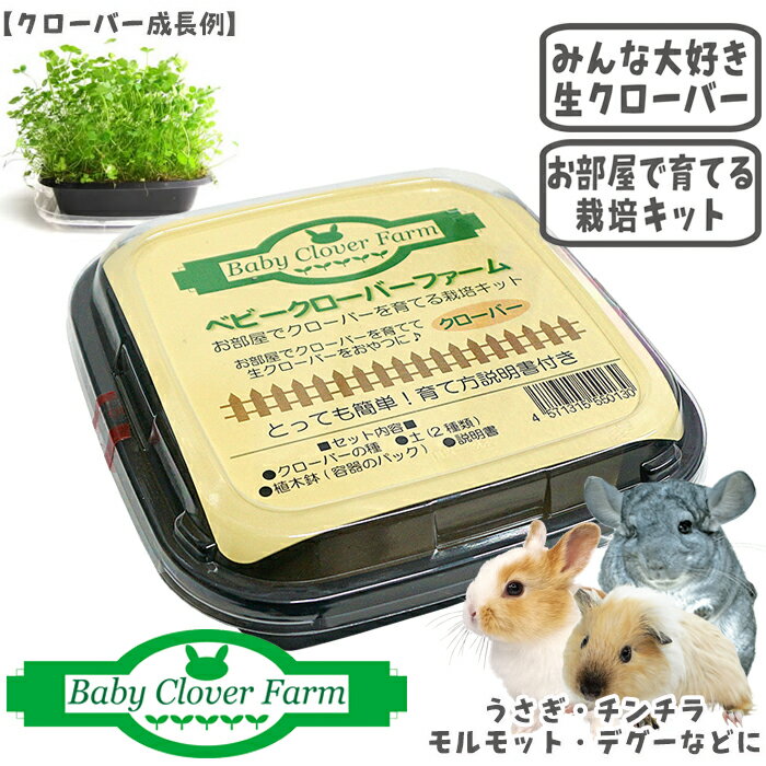 ベビークローバーファーム