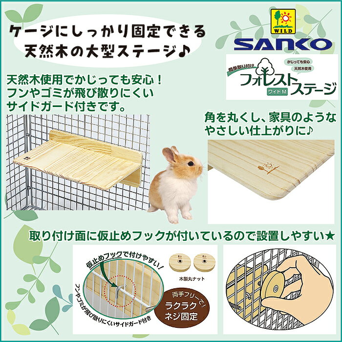 フォレストステージ ワイドMの紹介画像2