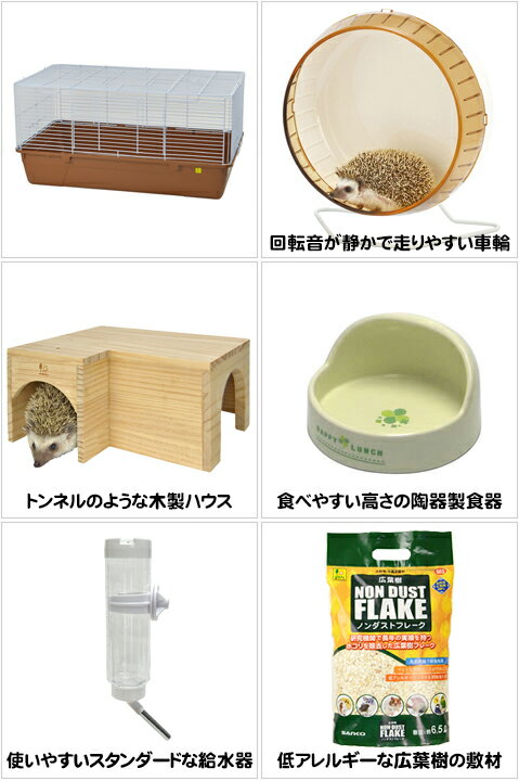 ����ȥ�ޥ�� R85�ϥ�ͥ��߻��饻�å� 6���ڰ��٤Τ���ʸ��1�Ĥޤǡ�