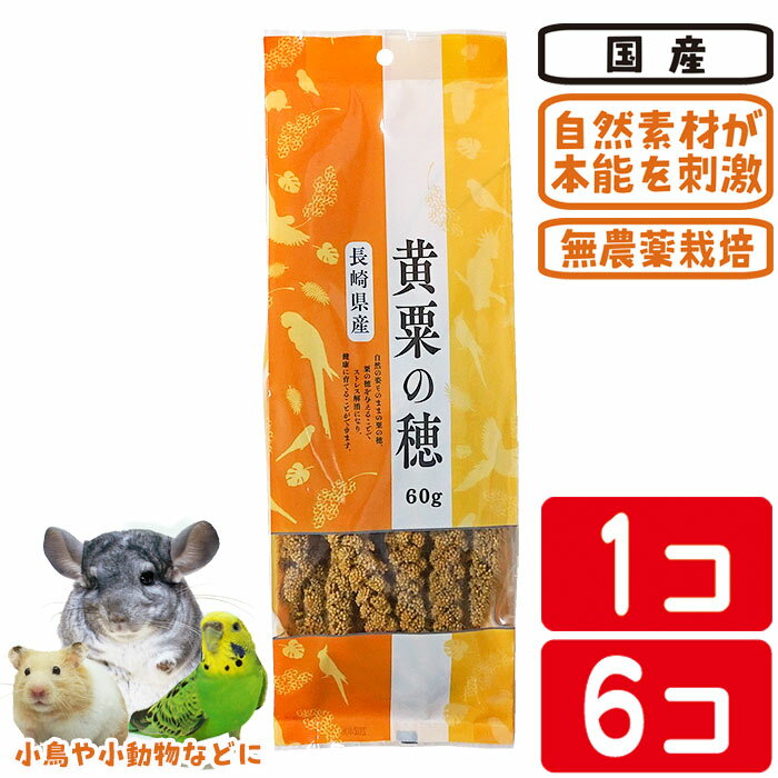 樂天商城 - 長崎県産 黄粟の穂　【1個 or 6個】