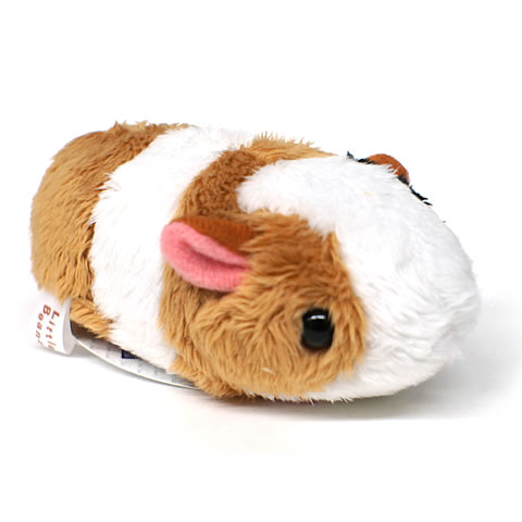 ��ȥ�ӡ��� ����å�