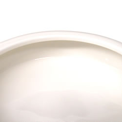 レプタイルディッシュ L/スドー 2