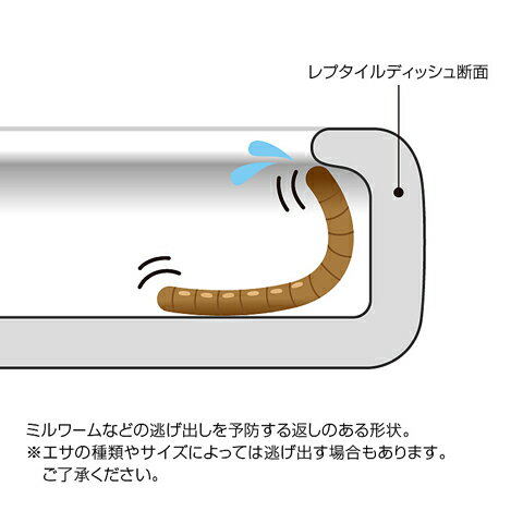 レプタイルディッシュ L/スドー 3
