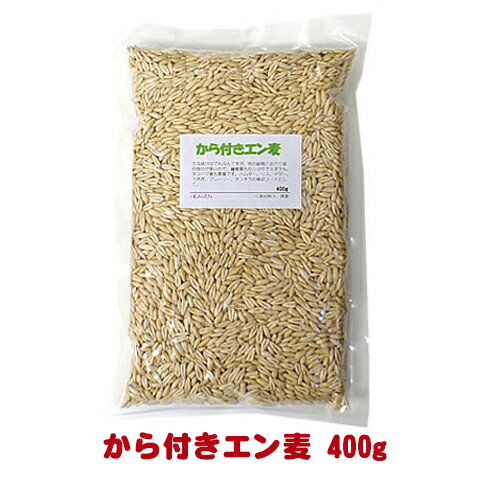 から付きエン麦 400g/燕麦 オート麦 