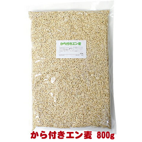 から付きエン麦 800g/燕麦 オート麦 