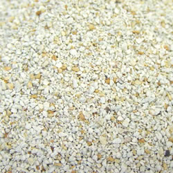 �֥����ƥ�Х�����ɡ��γ��פȡ֥����ƥ�Х�����ɡ��γ��ͤ��ؤ��פΥ��å�