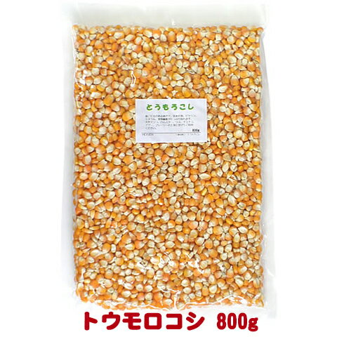 トウモロコシ 800g/コーン 補助食 ハムスター リス デグー ジリス インコ ハト