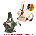 【数量限定セール】レインボー あったかダブルタルト