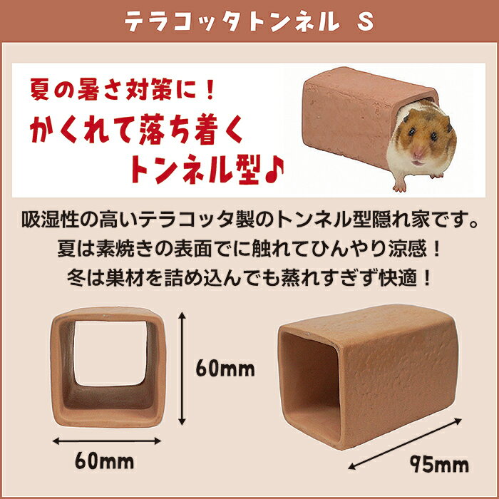 テラコッタトンネル Sの紹介画像2