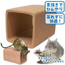 テラコッタトンネル M