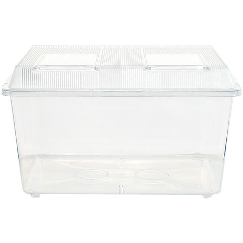 ���饱����(Ķ����) ��50cm/�����ѡ�����