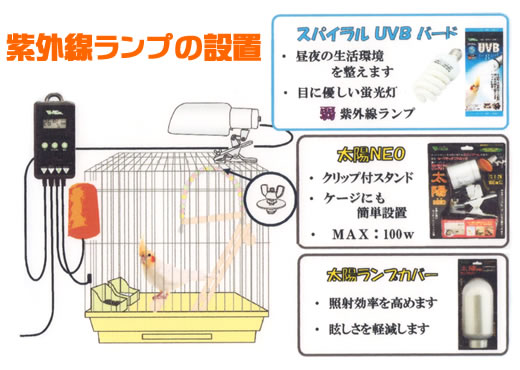 スパイラルUVB 26W 小鳥類 小動物用/f...の紹介画像3