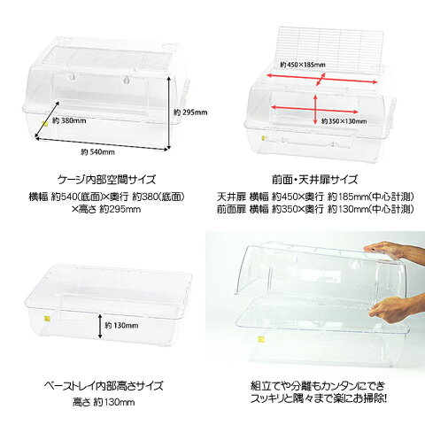 ルーミィ60 ベーシック【一度のご注文で1個まで】 3