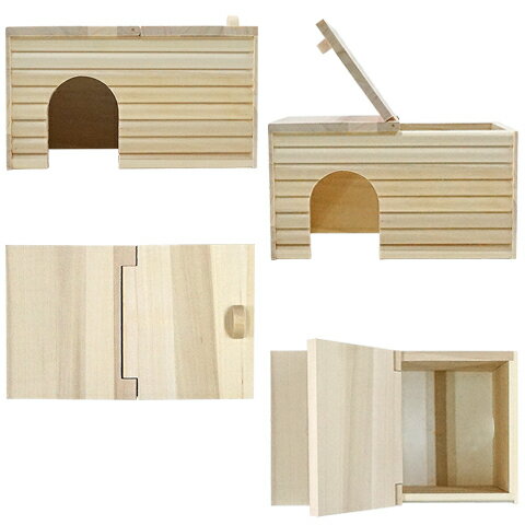 CASA ������ǥ�ΤΤ����ư¿��ϥ���