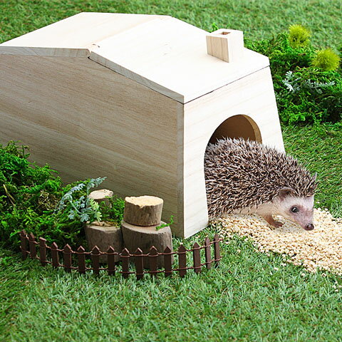 CASA ハリネズミののぞいて安心ハウスの紹介画像3