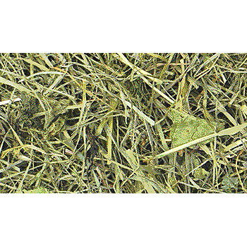 デリスタイル 食育牧草の紹介画像2