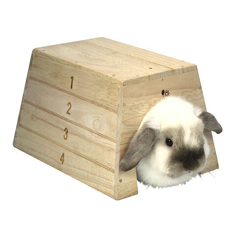 とびばこハウス L/お家 寝床 隠れ家 木製 跳び箱 うさぎ モルモット チンチラ SANKO 三晃商会
