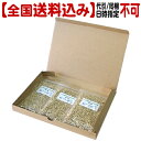【全国送料込】【05】ハムスターフードMこつぶ<若い子用>130g×3個セット【代引同梱日時指定不可・郵便受けにお届け】