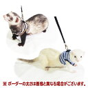 レインボー ferret ランランハーネス ボーダー