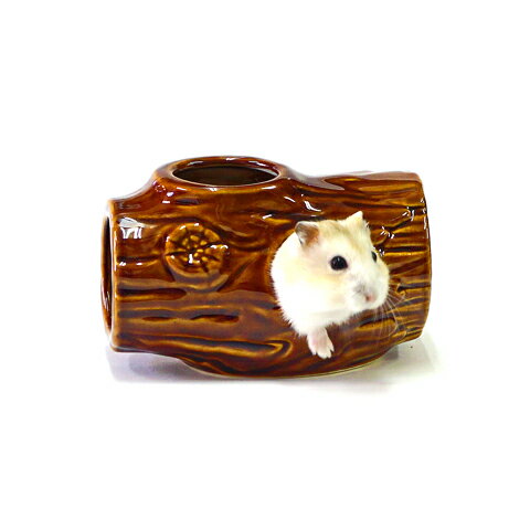 ���;� �ϥॹ�����ѤҤ�ä���ȥ�ͥ�