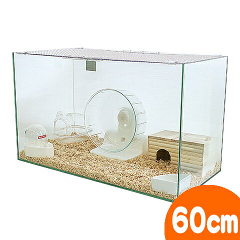 楽天市場】飼育セット(種類(小動物)ハムスター)の通販 楽天市場】飼育セット(種類(小動物)ハムスター)の通販