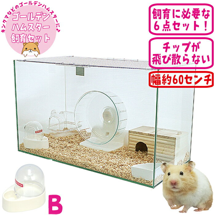 楽天市場】ゴールデンハムスター飼育セットの通販