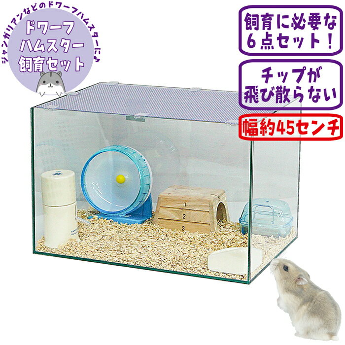 樂天商城 - 450ハムスターHIGH ジャンガリアン飼育セット【一度のご注文で1個まで】
