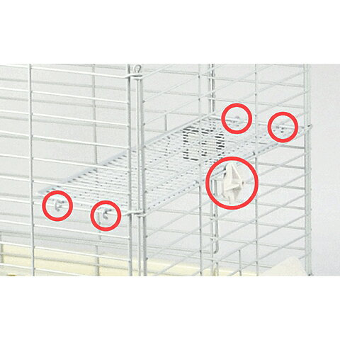 ��29��ǯ�������桦���̸�����ʡ� ���������ۡ����ѥ�å���ǥå�