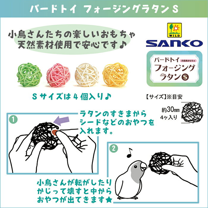 バードトイ フォージングラタンS