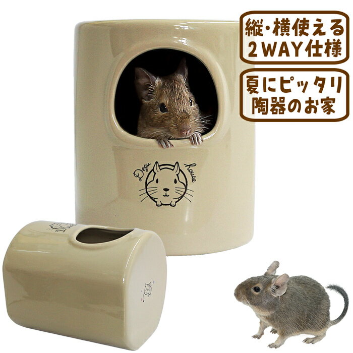 CASA デグーの砂浴びもできるハウス/お家 寝床 陶器 ひんやり マルカン MARUKAN PRO STYLE CASA