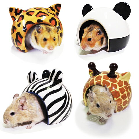 �쥤��ܡ� ��ưʪ�Υ��˥ޥ�ɡ���