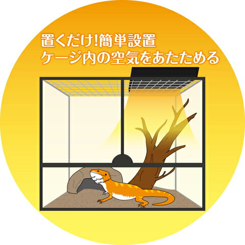 �ҡ��ƥ��󥰥ȥå�M