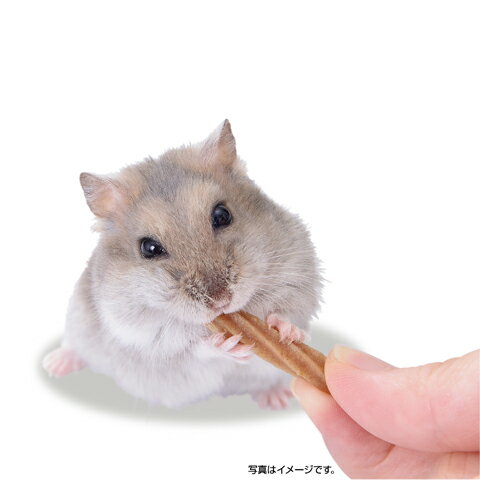 ハムテイン チキンチュロスの紹介画像2