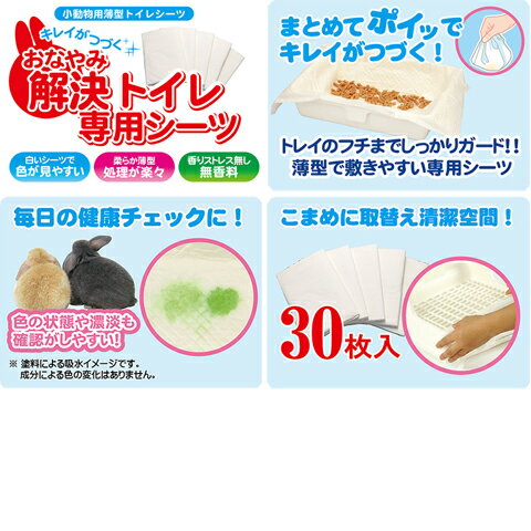 ���ʤ�߲��ȥ������ѥ����ġ�1������(20��)1�Ĥ�����774�ߡ�