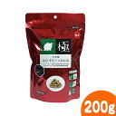 大型種はむすたーのきわみ