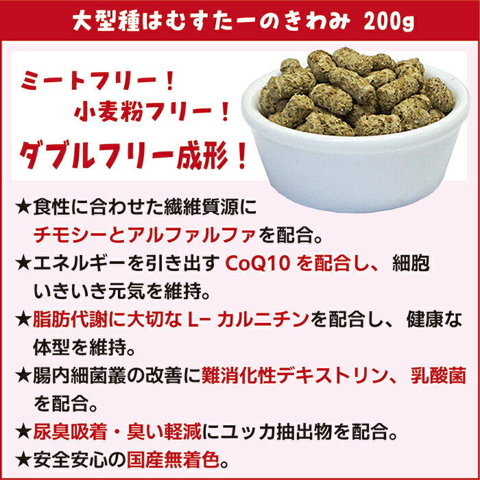 大型種はむすたーのきわみの紹介画像2