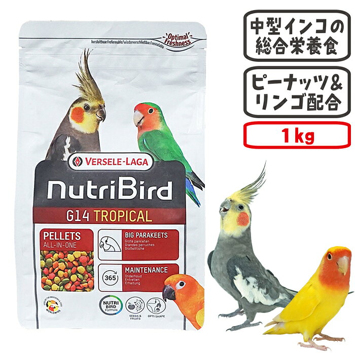 ニュートリバード G14 トロピカル中型インコ 1kg
